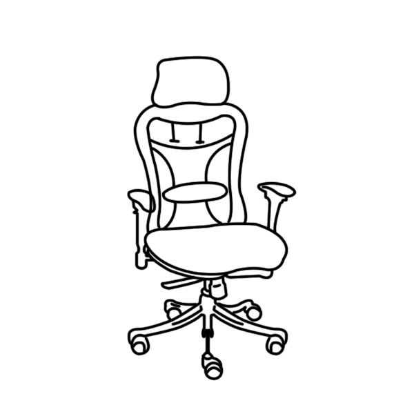 Executive Mesh Chairs