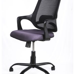 Ergonomic office chair with adjustable lumbar support and mesh backrest